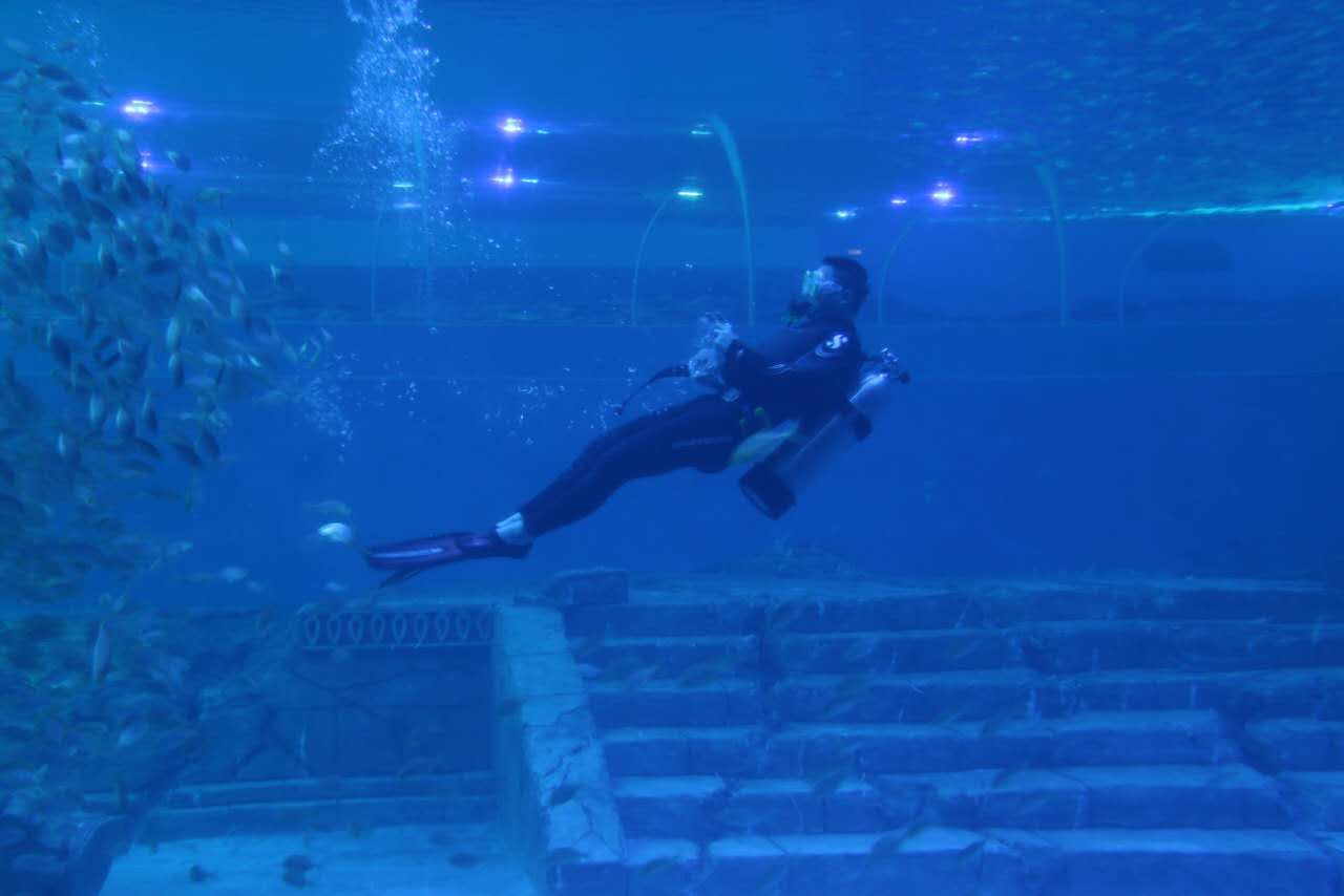 重庆汉海海洋公园几个馆,重庆汉海海洋公园过年开馆吗