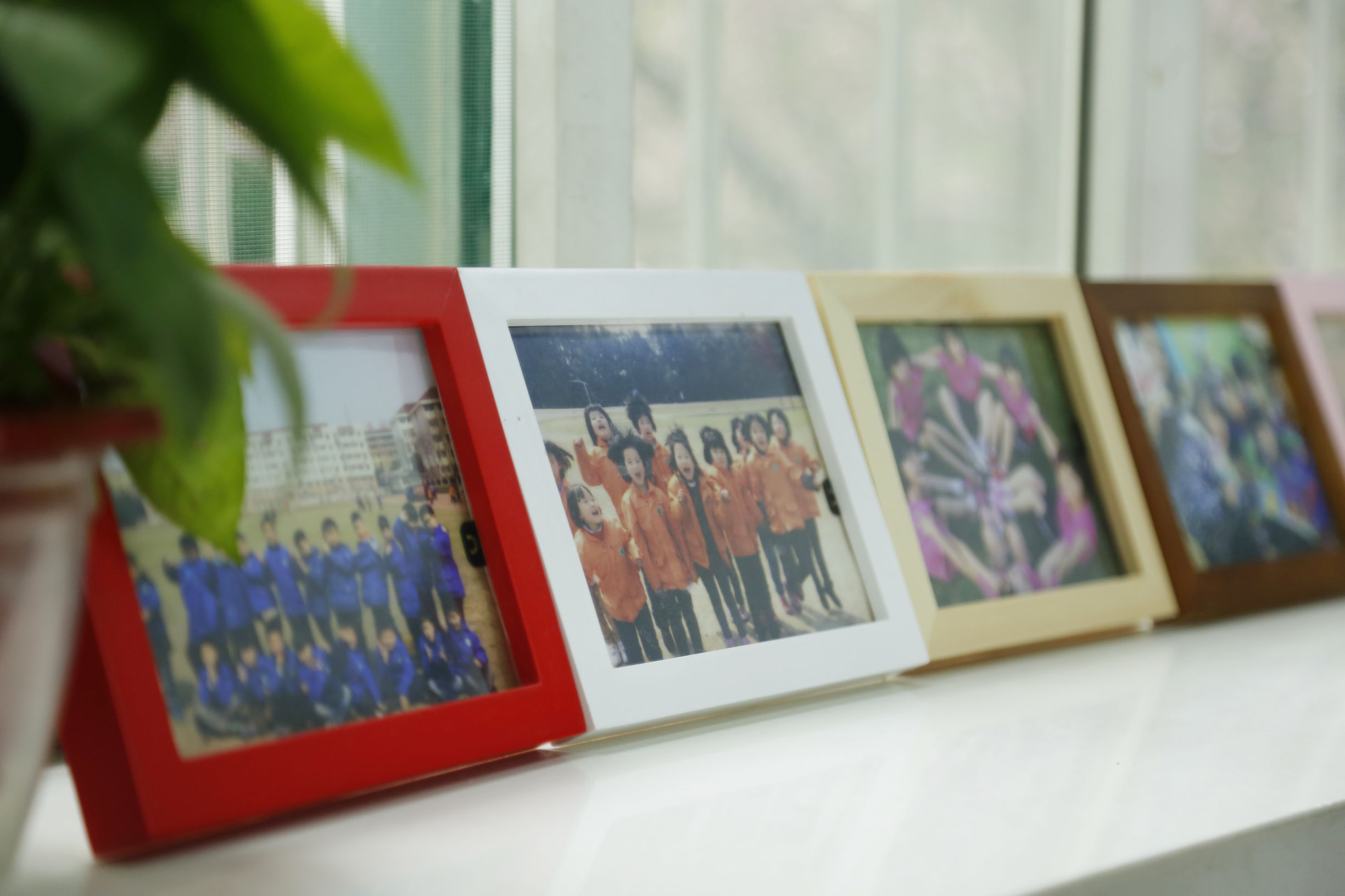 生命化教育,生命化教育理念