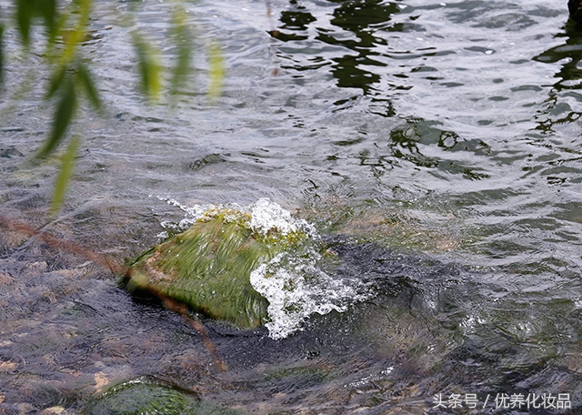 有诗和远方的地方,有诗和远方的故乡