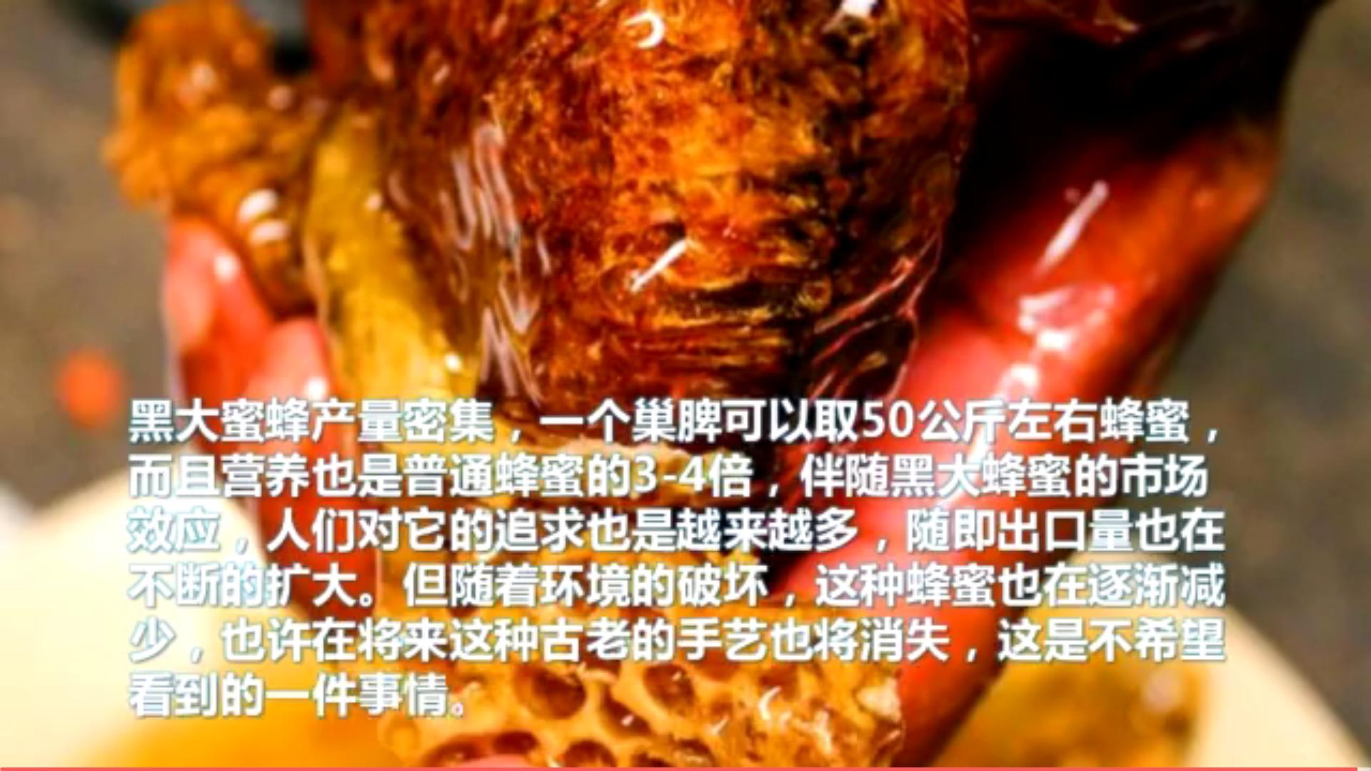 云南岩蜂蜜的作用与功效,揭开土蜂蜜的神秘面纱