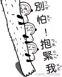 在荷兰丢失了护照该怎么办,在荷兰护照丢了怎么办如何回国