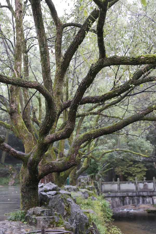 浙江金华山风景旅游攻略,金华旅游必去十大景点双龙洞