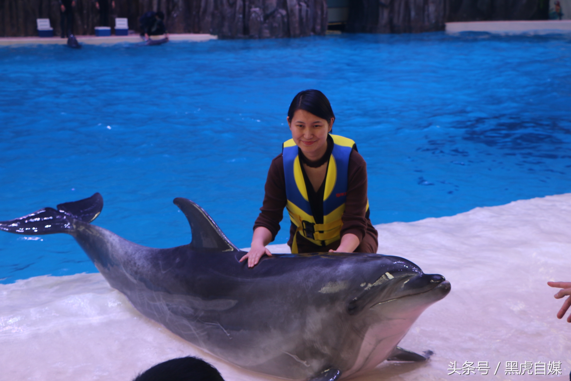 旅游珠海长隆海洋王国攻略,长隆珠海海洋王国游玩一天攻略