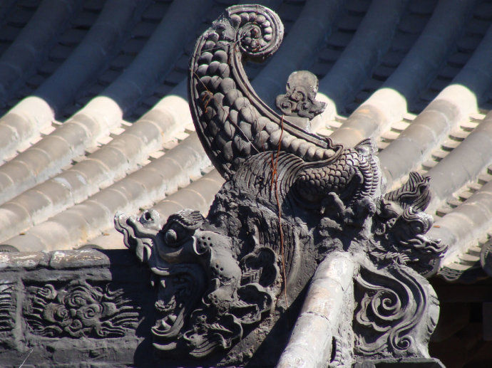 什么动物花心 (世界上最花心的动物是什么)