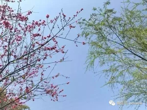 安溪最好看的风景,安溪哪个风景好