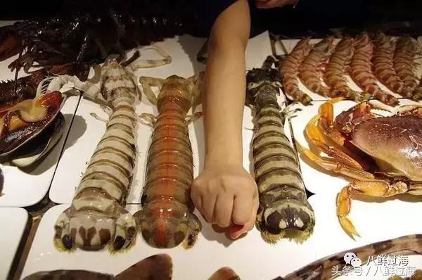 丹东腌制皮皮虾濑尿虾,濑尿虾好吃还是皮皮虾好吃