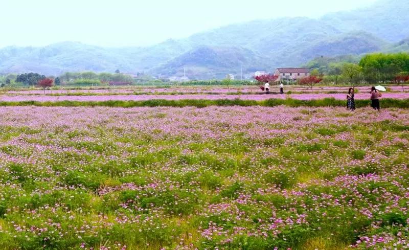 绍兴上虞为什么有海,上虞哪个地方有海