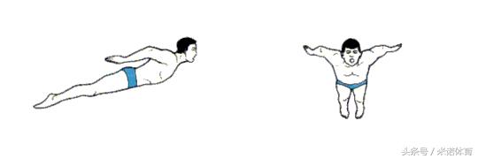 海豚跳跃式泳姿教学,海豚式泳姿陆上练习