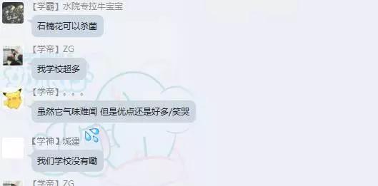 涓轰粈涔堝悇澶ч珮鏍￠兘绉嶇煶妤犺姳,澶у鍏充簬鐭虫鑺辩殑閲囪闂