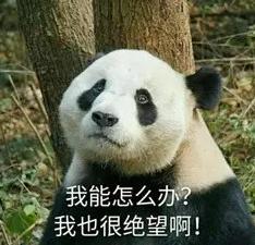 这些爆红的化妆品其实很鸡肋无用,这些化妆品全是山寨有你用过的吗