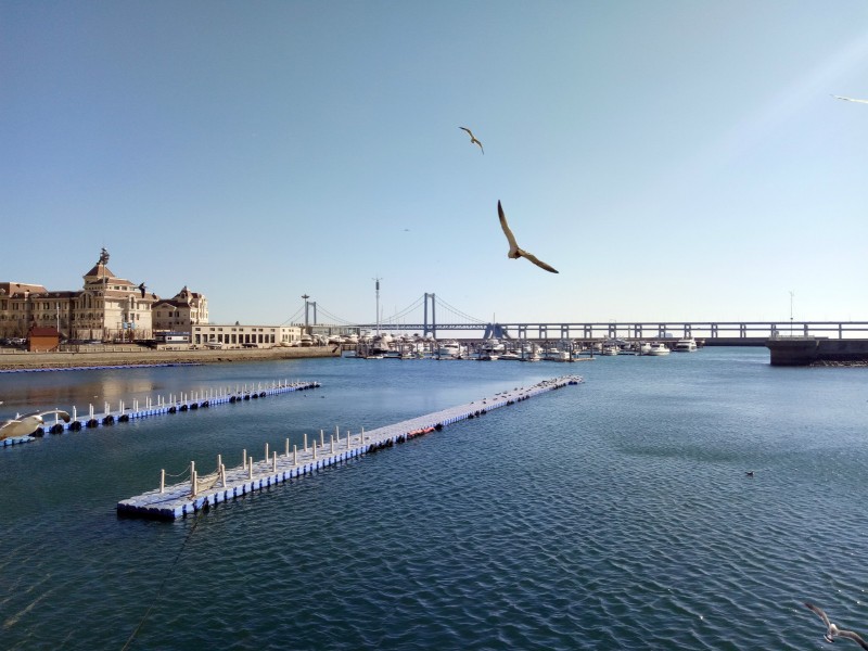 冬天大连看海旅游攻略,冬季到大连去看海