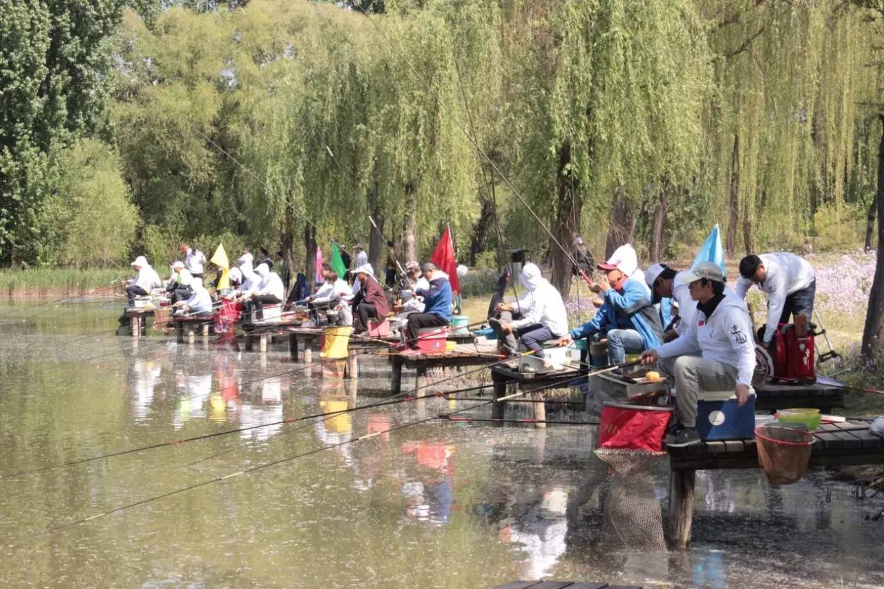 中国公认钓鱼高手排名前十,全国钓鱼顶尖高手过招