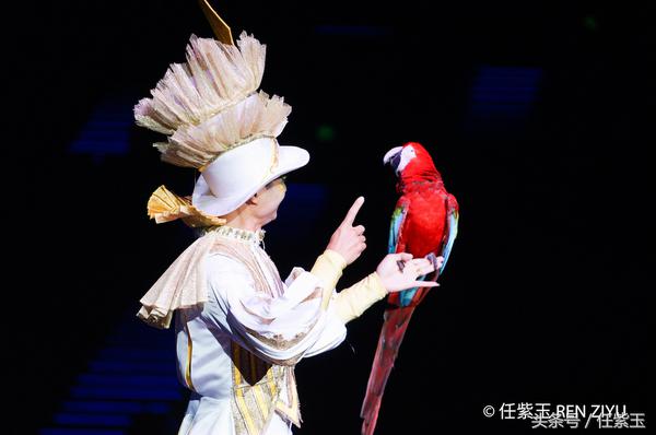 长隆海洋王国亲子游路线,一天游珠海长隆海洋王国亲子攻略