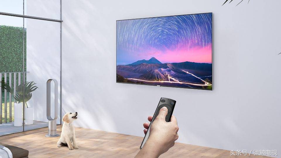 微鲸科技的产品,微鲸新款