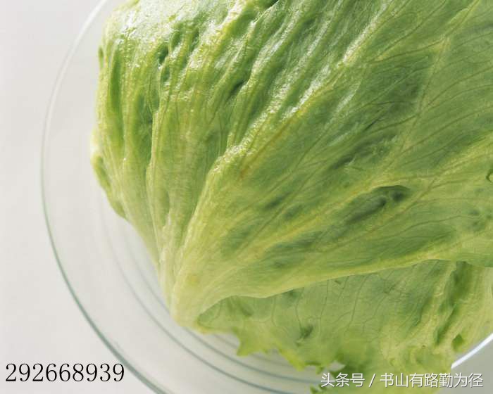 汉堡有助于减肥,汉堡对于减肥有影响吗