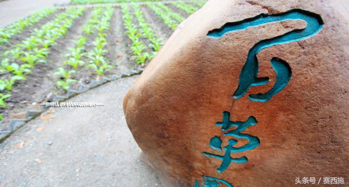 绍兴16个好玩的地方，有事没事都可以去好好玩玩