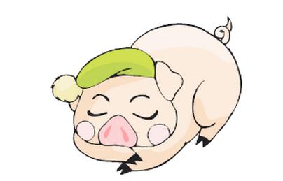 生肖属猪的人运气,属猪的今年财运适合做生意吗