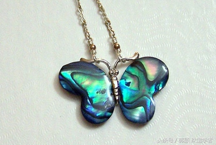 鲍鱼除了吃还代表什么,鲍鱼除了是食物还是什么东西