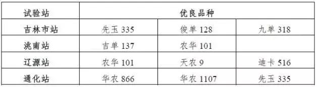 京科968玉米品种介绍,隆禧119玉米品种介绍