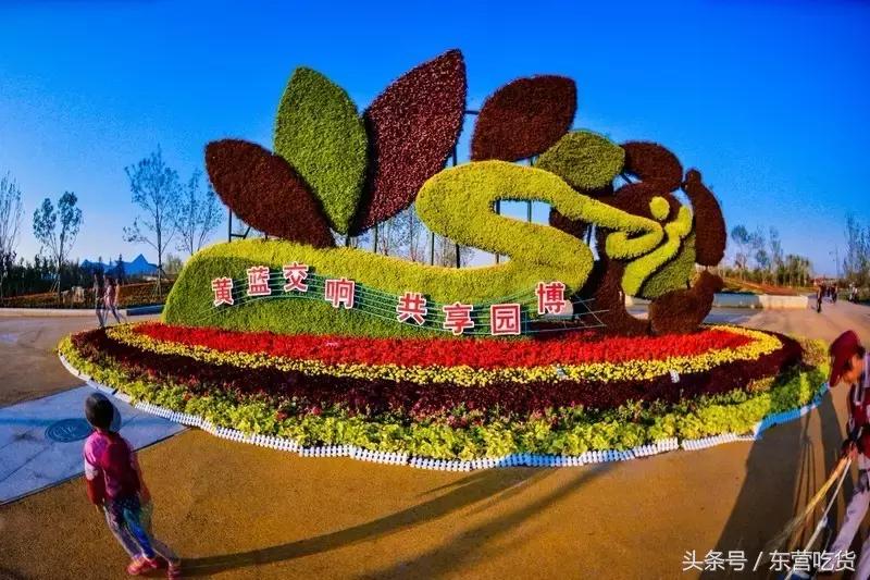 东营五一假期好去处,五一东营去哪里玩比较好