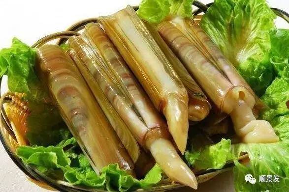 贝类海鲜的品种及图片大全,常见的贝类海鲜图片大全及名称