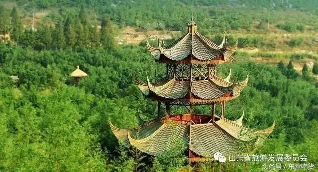 东营五一假期好去处,五一东营去哪里玩比较好