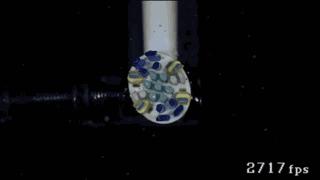 带你们领略速度与激情,体验真正的速度与激情