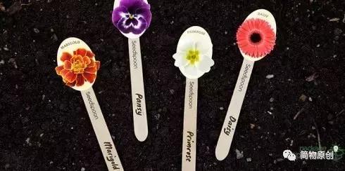 玩儿勺子,有趣的勺子设计