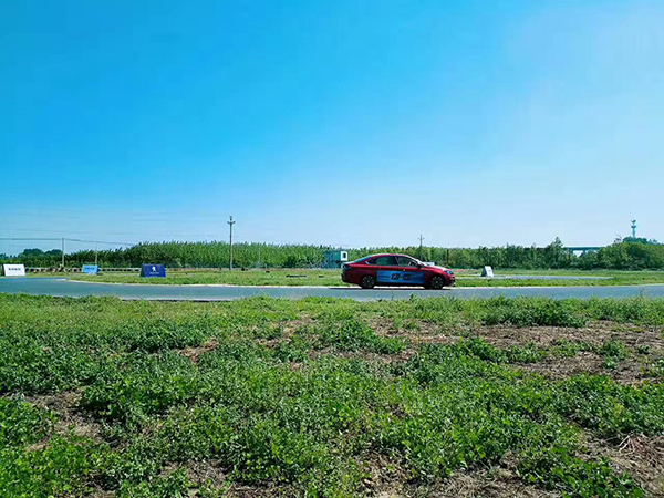 都说法国人会造车不会卖车？这次新308就下下赛道给你们看