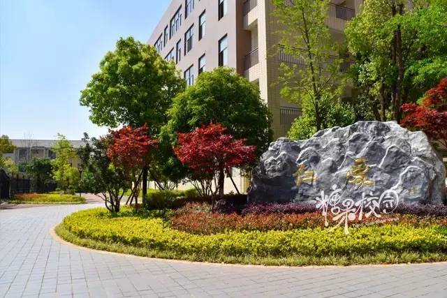 校园资讯开头,校园资讯栏目