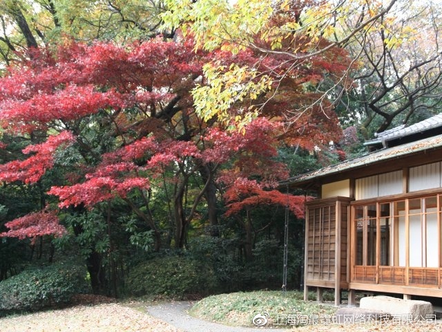 日本新宿必逛中古攻略,日本原宿有什么好玩的