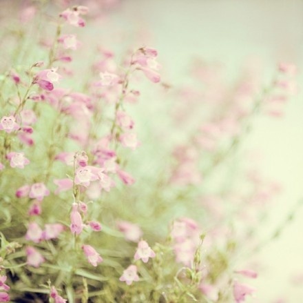 高龄女性想备孕先评估,38岁卵巢功能衰退如何怀二胎