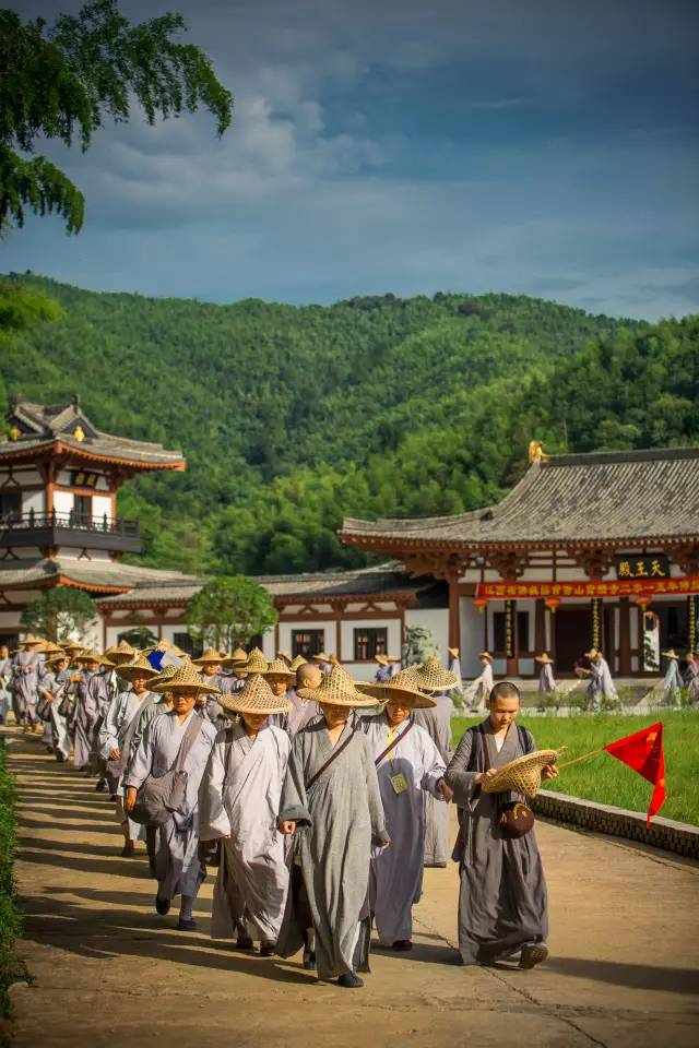 辟谷期间馋的要命,辟谷复食馋了怎么办