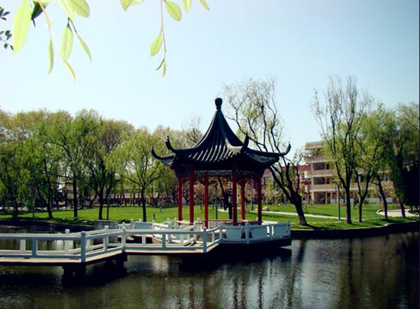 盐城龙冈中学本科率,盐城龙冈初级中学