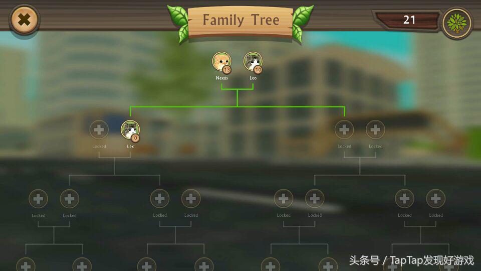 猫咪生存模拟器怎么玩,猫咪生存模拟怎么驯服小猫咪