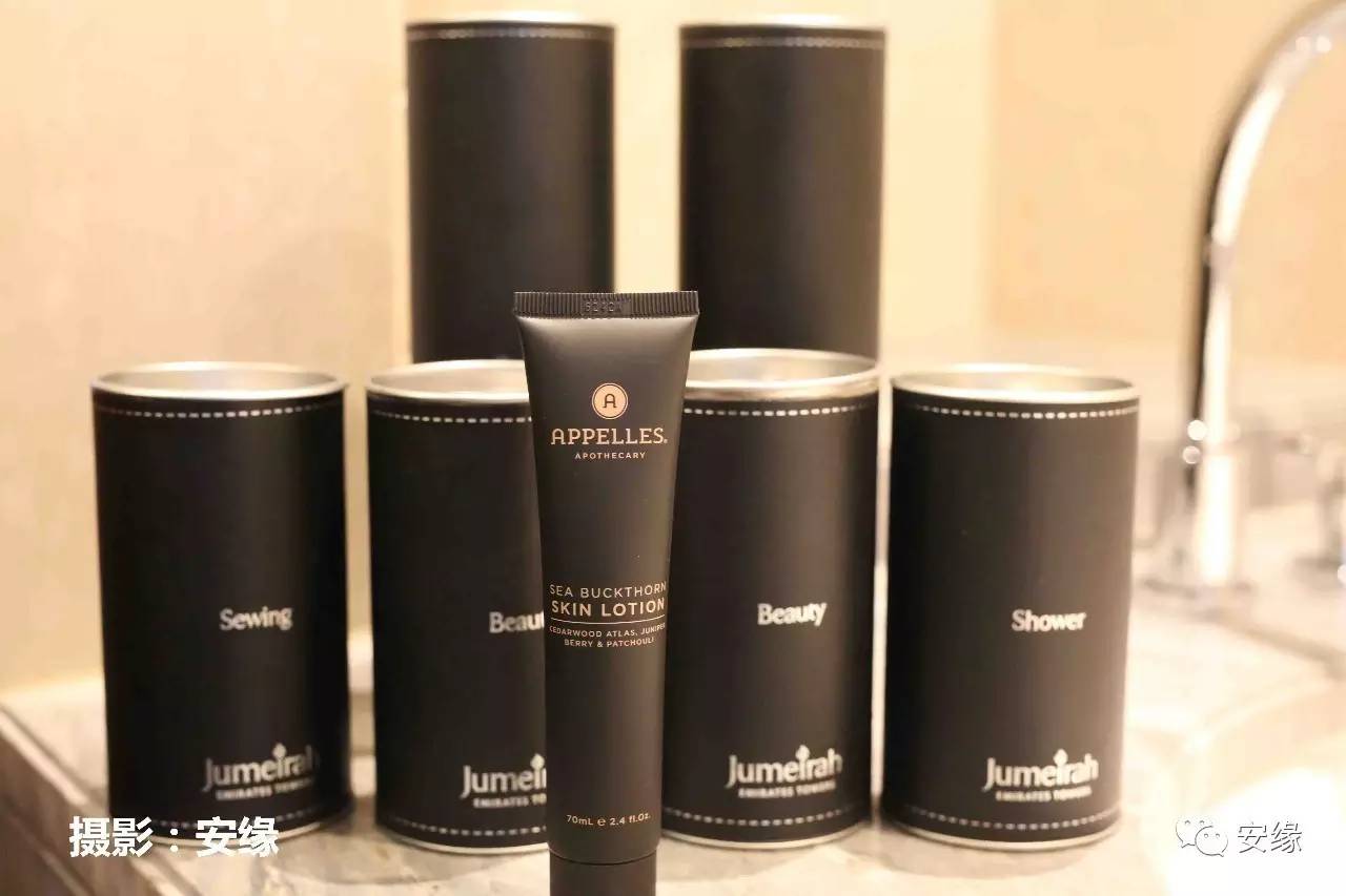 迪拜有钱人家里的豪宅,迪拜有钱人豪宅