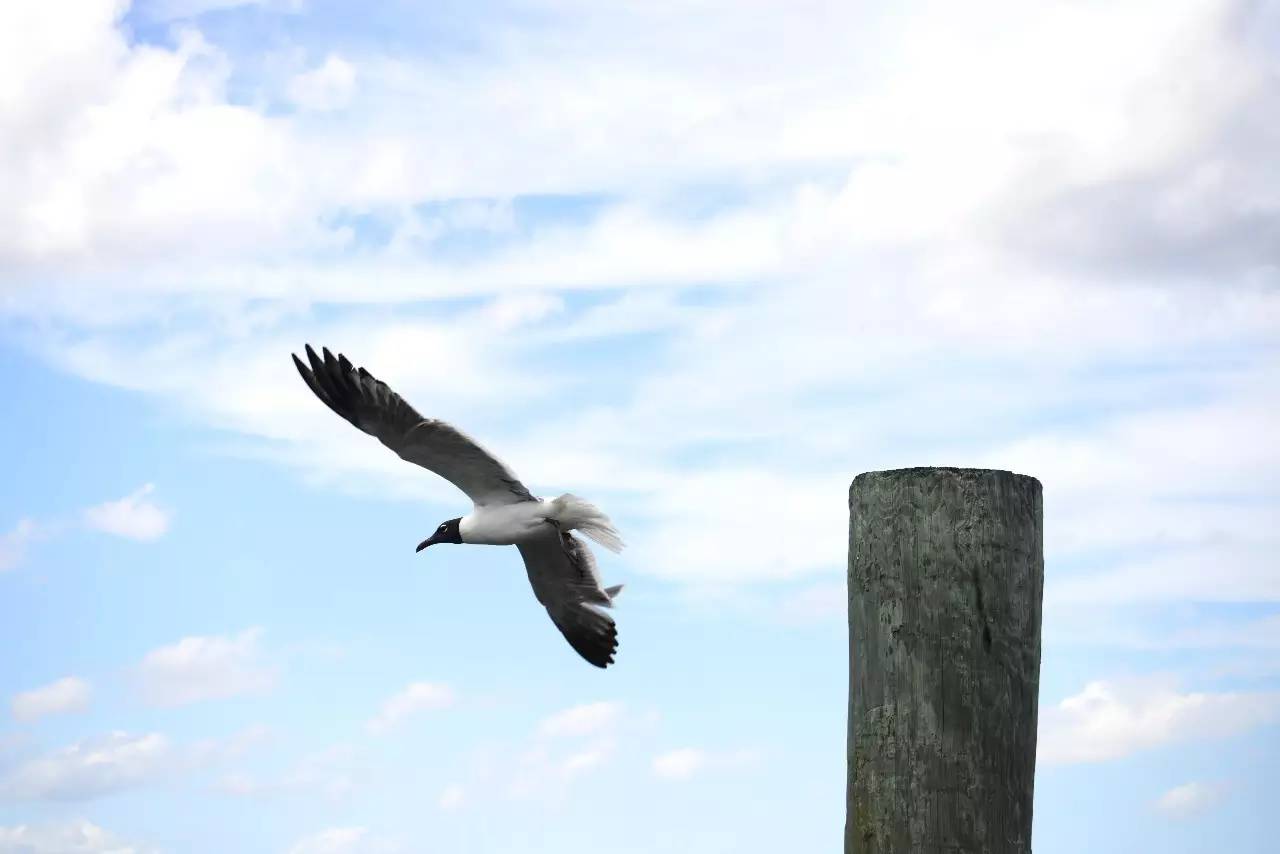 佛罗里达海滩游玩攻略,来迈阿密旅游