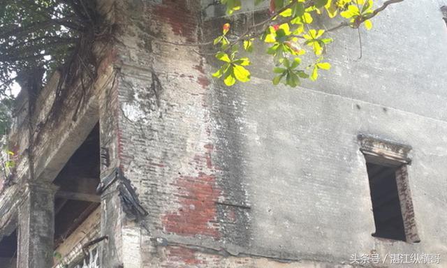 终身不嫁的自梳女,自梳女为什么终生不嫁