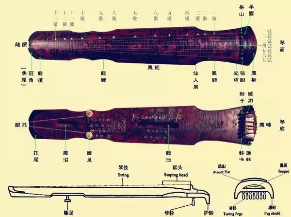 历代古琴的基础知识,中国古琴辨识图