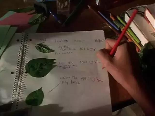 颜值演技双在线值得反复观看,颜值演技在线的“双男主剧”