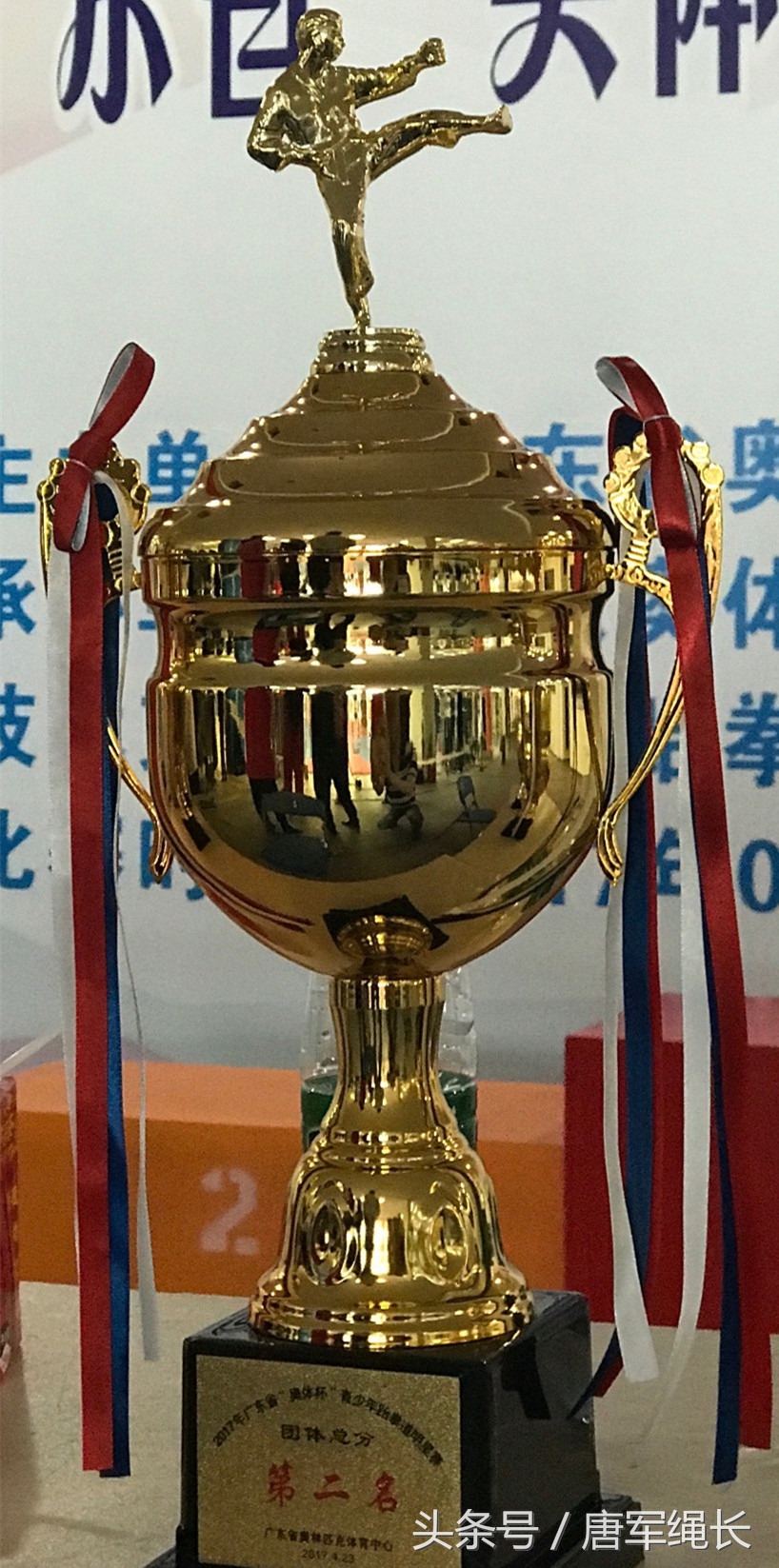 广东省青少年跆拳道锦标赛直播,广东省奥体杯青少年跆拳道明星赛