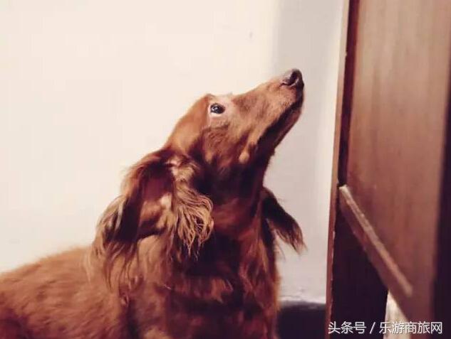 香港旅行攻略自由行购物,香港旅行攻略必去的地方推荐