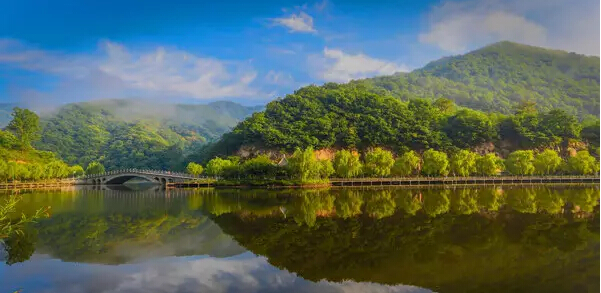 栾川竹海野生动物园研学日记,栾川暑期研学