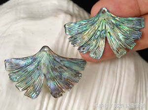 鲍鱼除了吃还代表什么,鲍鱼除了是食物还是什么东西