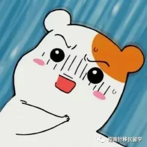 笔译已无法获得塔斯马尼亚州担保，我们学naati还有什么用？