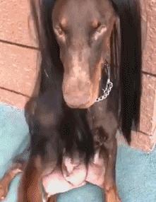 十条笑话：小震不用躲，大震躲不掉，同学们我们来讲下一题