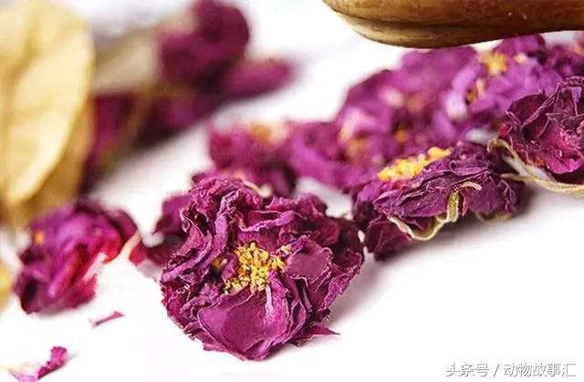 肝气不足喝什么代茶饮好,疏肝理气代茶饮有什么经典名方