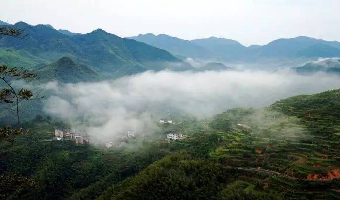 宁波唐诗古道,走过千山万水却走不过你朗读