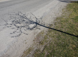 新西兰全景巴士,那些自驾游来不及知道的事儿(北岛+南岛超多公共交通实用信息各类购票详细教程InterCity)