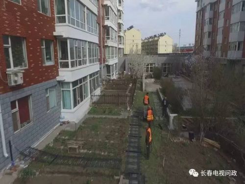 长春小区围墙被推倒,长春绿地违建拆除名单